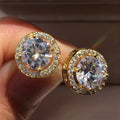 Zircon Stud Earrings