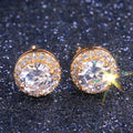 Zircon Stud Earrings