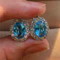 Diana Oval Zircon Clip Earrings
